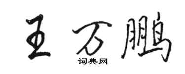 駱恆光王萬鵬行書個性簽名怎么寫