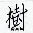 白克儉寫的硬筆楷書樹