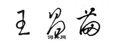 駱恆光王昌苗草書個性簽名怎么寫