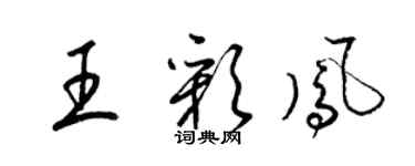 梁錦英王彩鳳草書個性簽名怎么寫