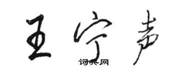 駱恆光王寧聲行書個性簽名怎么寫