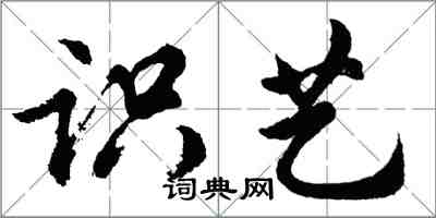 胡問遂識藝行書怎么寫