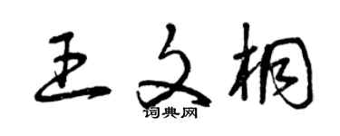 曾慶福王文桐草書個性簽名怎么寫