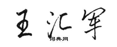 駱恆光王匯軍行書個性簽名怎么寫