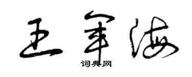 曾慶福王軍海草書個性簽名怎么寫