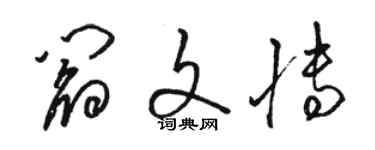 駱恆光閻文博草書個性簽名怎么寫