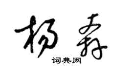 梁錦英楊奔草書個性簽名怎么寫