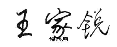 駱恆光王家銳行書個性簽名怎么寫