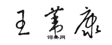 駱恆光王葦康草書個性簽名怎么寫