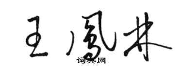 駱恆光王鳳林草書個性簽名怎么寫