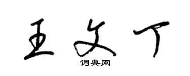 梁錦英王文丁草書個性簽名怎么寫