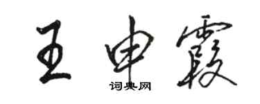 駱恆光王申霞行書個性簽名怎么寫