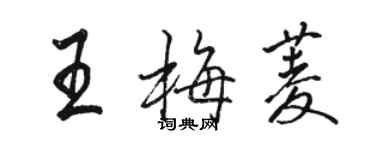 駱恆光王梅菱行書個性簽名怎么寫