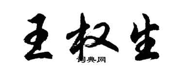 胡問遂王權生行書個性簽名怎么寫