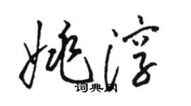 駱恆光姚淳草書個性簽名怎么寫