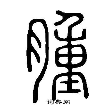 說文解字寫的腫