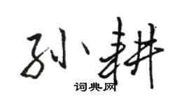駱恆光孫耕行書個性簽名怎么寫