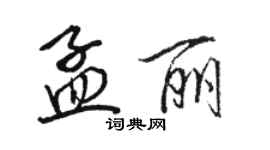 駱恆光孟麗行書個性簽名怎么寫