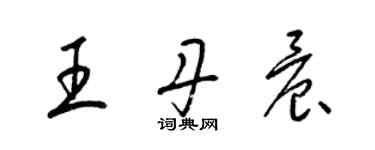 梁錦英王丹晨草書個性簽名怎么寫