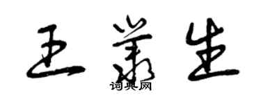 曾慶福王叢生草書個性簽名怎么寫