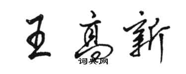 駱恆光王高新行書個性簽名怎么寫