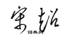 駱恆光宋超草書個性簽名怎么寫