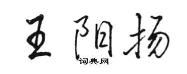 駱恆光王陽揚行書個性簽名怎么寫