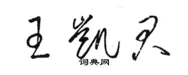 駱恆光王凱君草書個性簽名怎么寫