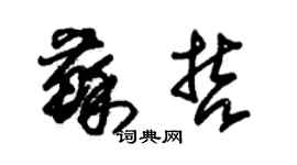 朱錫榮蘇哲草書個性簽名怎么寫