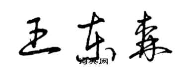 曾慶福王東森草書個性簽名怎么寫