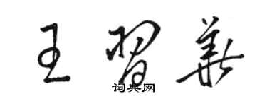 駱恆光王習華草書個性簽名怎么寫