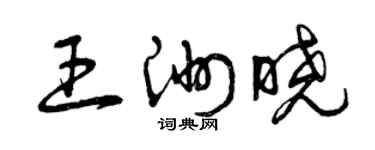 曾慶福王洲曉草書個性簽名怎么寫