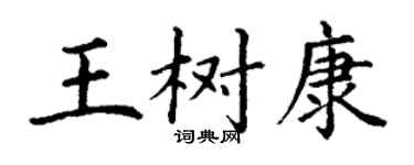 丁謙王樹康楷書個性簽名怎么寫