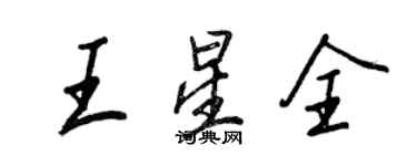 王正良王星全行書個性簽名怎么寫