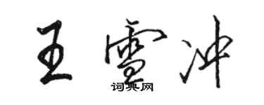 駱恆光王雪沖行書個性簽名怎么寫