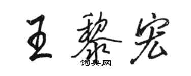 駱恆光王黎宏行書個性簽名怎么寫
