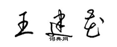 梁錦英王建花草書個性簽名怎么寫