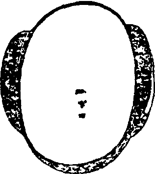 羽觴_羽觴介紹_歷史知識