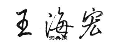 駱恆光王海宏行書個性簽名怎么寫