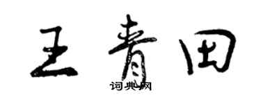 曾慶福王青田行書個性簽名怎么寫