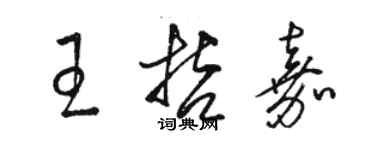 駱恆光王哲嘉草書個性簽名怎么寫