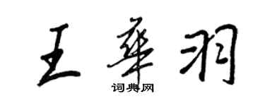 王正良王華羽行書個性簽名怎么寫