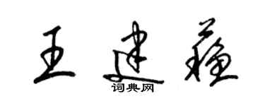 梁錦英王建蘇草書個性簽名怎么寫