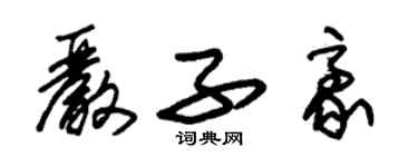 朱錫榮嚴子豪草書個性簽名怎么寫