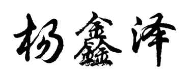 胡問遂楊鑫澤行書個性簽名怎么寫