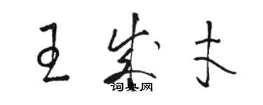 駱恆光王成才草書個性簽名怎么寫