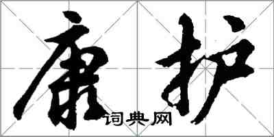 胡問遂康護行書怎么寫