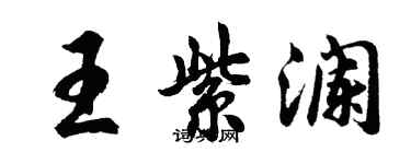 胡問遂王紫瀾行書個性簽名怎么寫