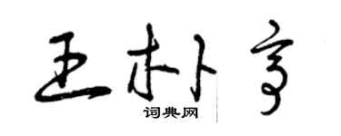 曾慶福王朴亭草書個性簽名怎么寫