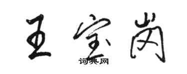 駱恆光王寶崗行書個性簽名怎么寫